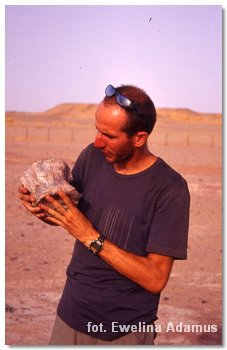 dinosaur's cervical vertebra in my hands