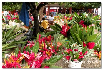 market in Port Vila