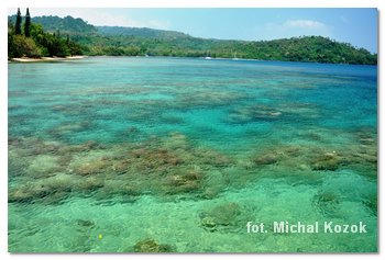 Zatoka Laman Bay