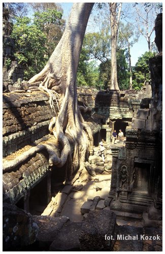 świątynia Ta Prohm