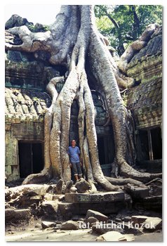 świątynia Ta Prohm w kompleksie Angkor Wat