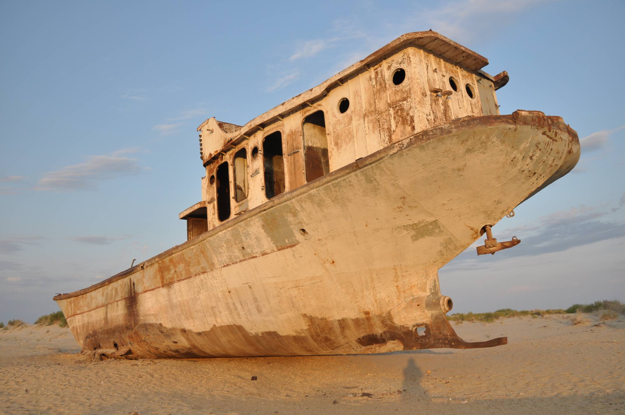 kutry na Morzu Aralskim